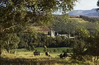Le château et sa proche prairie.