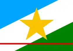 Drapeau du Roraima