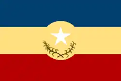 Drapeau de Cristóbal Rojas