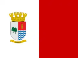 Drapeau de Yungayville et commune du Chili