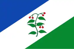 Drapeau de Arbúcies