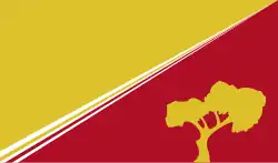 Drapeau de Independencia