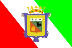 Drapeau de La Pedraja de Portillo