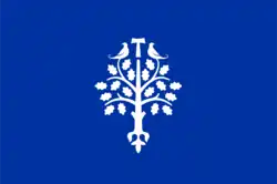 Drapeau de La Selva del Camp