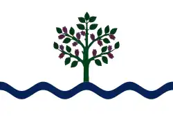 Drapeau de Móra d'Ebre