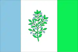 Drapeau de Martorelles