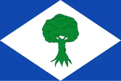 Drapeau de