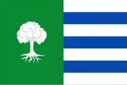 Drapeau de Olmedilla de Alarcón