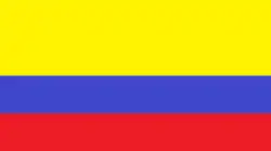 Drapeau de Canton de Paltas