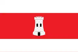 Drapeau de Viacamp y Litera