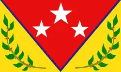 Drapeau de Antonio Pinto Salinas