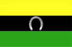 Drapeau de Coloncito