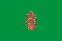 Drapeau de El Pinar de El Hierro