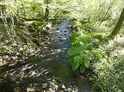 Le Bandiat au nord du lieu-dit Maumont.