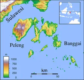 (Voir situation sur carte : îles Banggai)