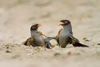 Description de cette image, également commentée ci-après