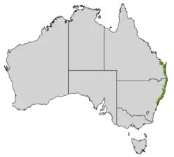 Carte de l'Australie avec unebande verte le long de la côte Est.