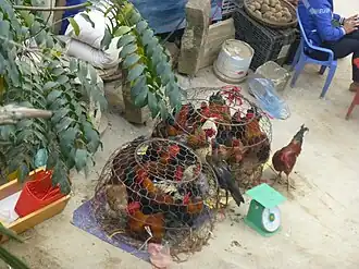 Vente de poulets à Bảo Hà (Province de Lào Cai).