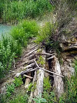 Gabions et piles de bois du barrage.
