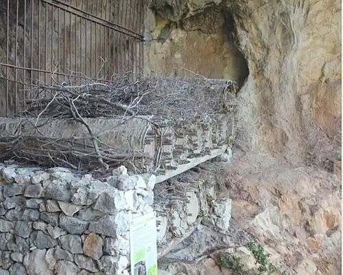 Arnales (ruchers) de Barfaluy.