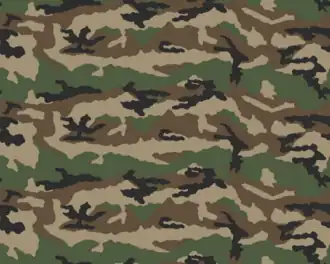 Camouflage Centre-Europe