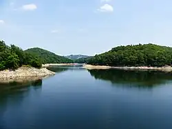 Au fond, la branche de la Selves.