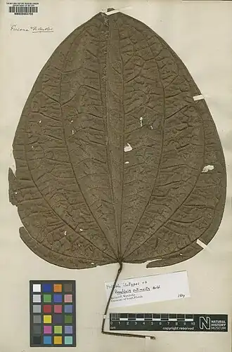 Description de cette image, également commentée ci-après