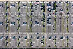 Vue de haut ; d'innombrables petites cases alignées, certaines colorées par ci par là, bordées d'une ligne blanche, quelques alignements d'arbres tout juste sortis d'une pépinière.