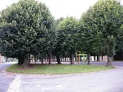 Plateau sportif communal.