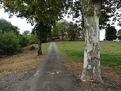 Voie menant à l’église.