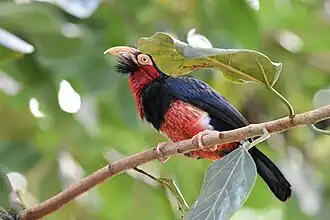 Description de cette image, également commentée ci-après