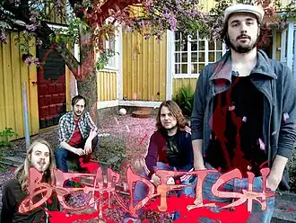 Description de l'image Beardfishband.jpg.