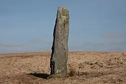 Image illustrative de l’article Beardown Man