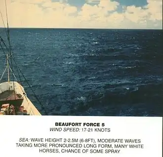 Echelle de Beaufort, force 5