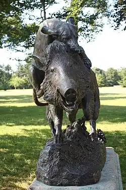 Chien attaquant un sanglier.