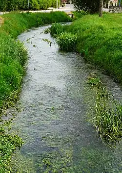 La Beauronne à Agonac devant l'église Saint-Martin.