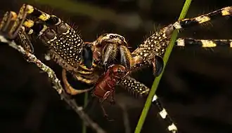 Description de cette image, également commentée ci-après