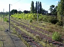 Les voies abandonnées depuis 1954 (août 2014).