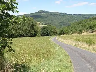 La Madeleine en arrière-plan.
