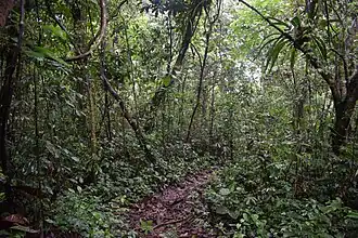 Description de cette image, également commentée ci-après