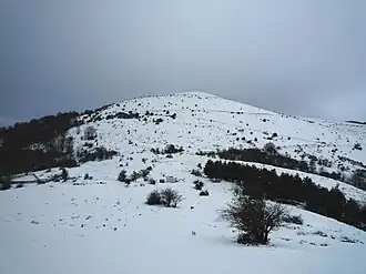 Sommet du Belchou (1&nbsp;130&nbsp;m) sous la neige depuis Othamonho (762 m).