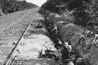 Troupes belges durant la bataille de Hofstade, l'une des routes vers Anvers (1914).