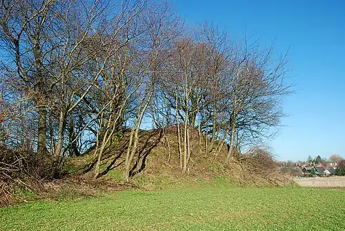 Le tumulus septentrional vu de l'est.