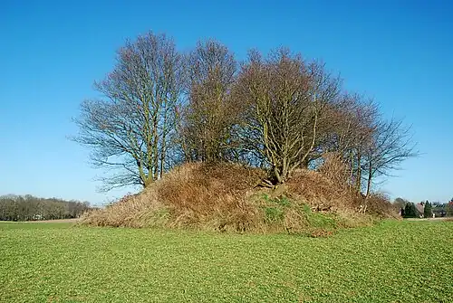 Le tumulus méridional vu du sud.