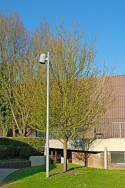 «&nbsp;Arbre des 30 ans&nbsp;».