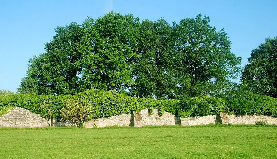 Les contreforts situés du côté intra-muros.