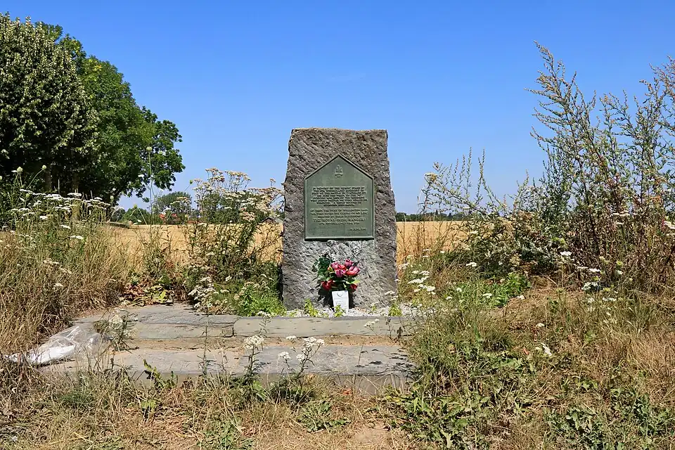 Vue générale du site.