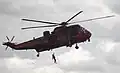 Un des Sea King est peint avec les couleurs nationales belges pour fêter les 25 ans de l'escadrille.