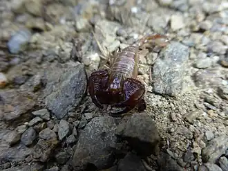Description de cette image, également commentée ci-après