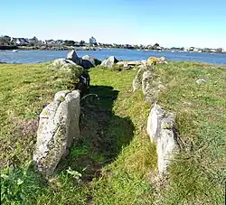 Image illustrative de l’article Dolmen du Moulin des Oies